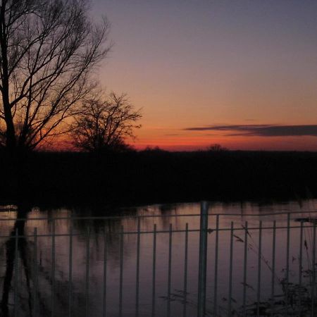 Pension "Zum Schwan" Muhr am See Luaran gambar